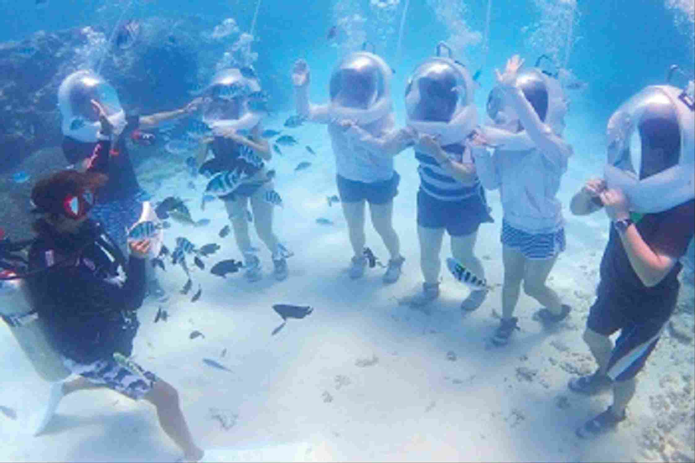 Under Water Sea Walk