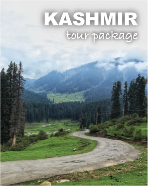 kashmir